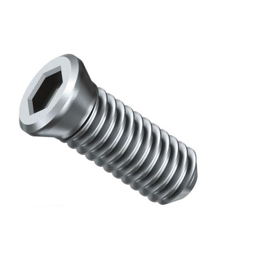 Fein 31350076000 Klämskruv 10-pack, för AKFH 18-5 Select