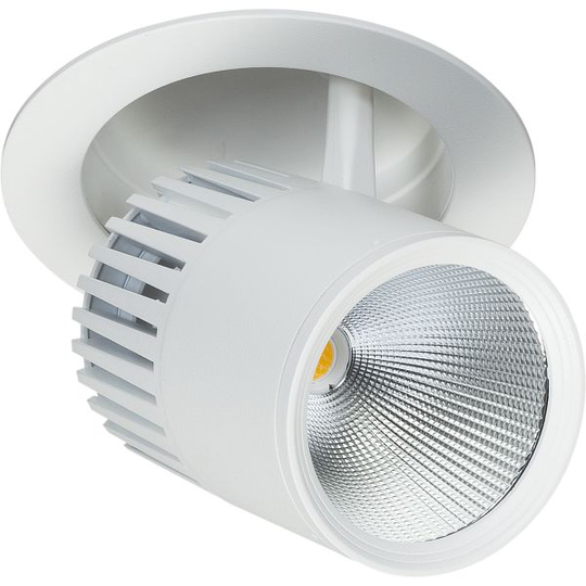 Easyform Pride Downlight ställbar, 330°/ 90° 12W
