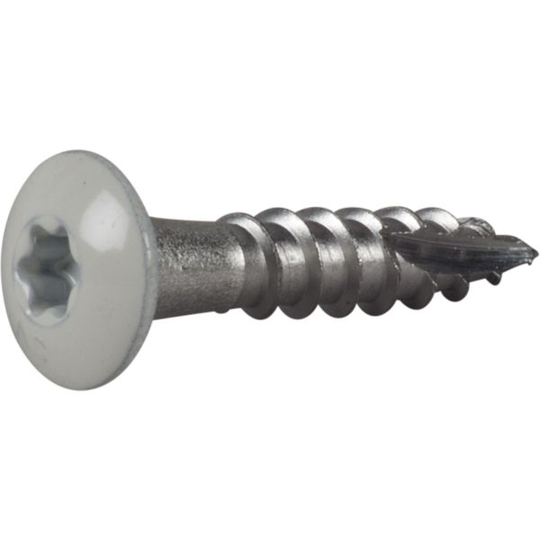 ESSVE 490205 Rännkroksskruv 4,8 mm Ø, vit, TX20 25 mm, 20-pack