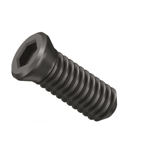 Fein 31350075000 Klämskruv 10-pack, för KFH17