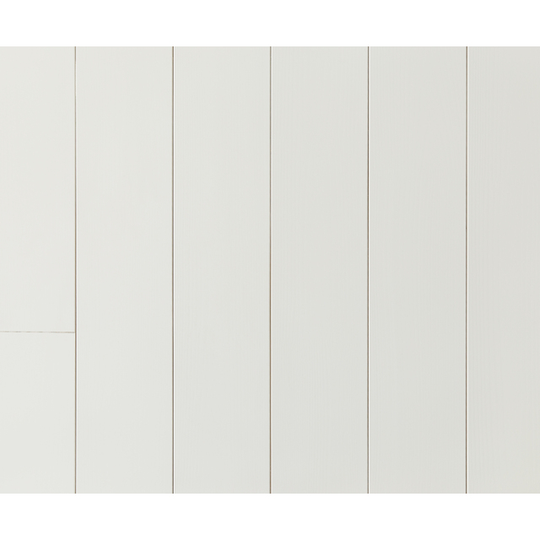 15X118X4800 PANEL SLÄTSPONT PUTSAD MÅLAD VIT S0502Y 12% | Beijerbygg Byggmaterial