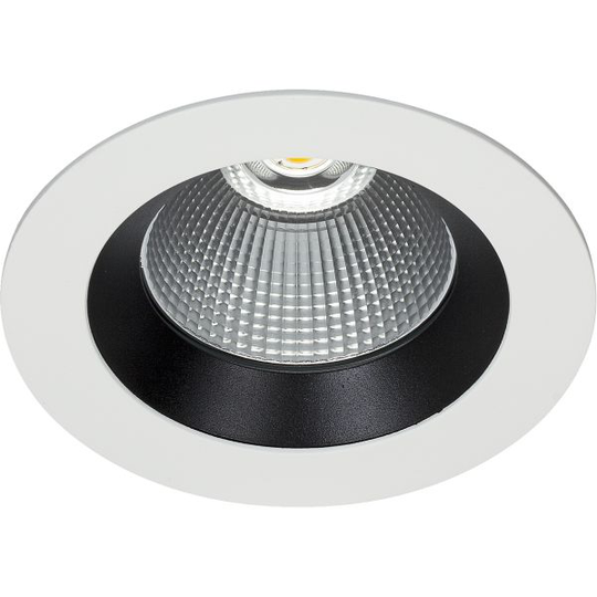 Easyform Silver Downlight standard 20W
