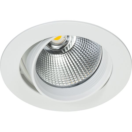 Easyform Silver Downlight ställbar 360°/ 20° 20W