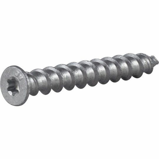 LÄTTBETONGSKRUV 8X65MM 100ST