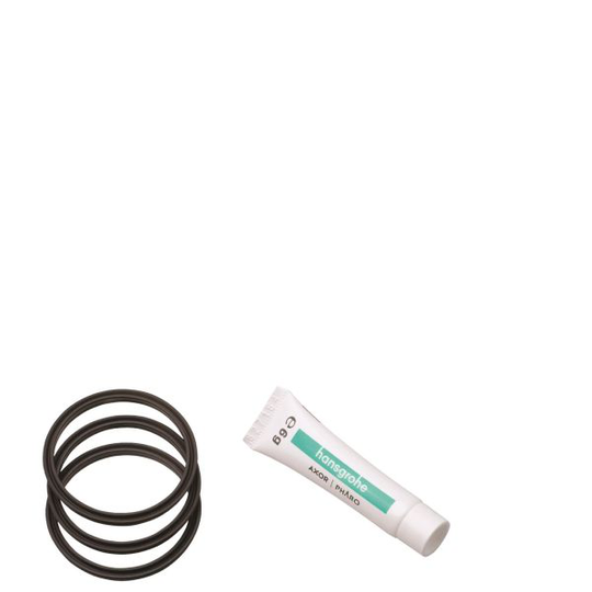 Hansgrohe 98702000 O-ring