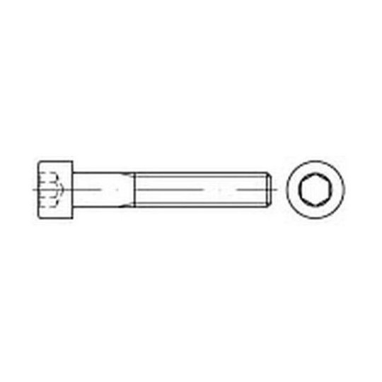 REYHER 009122000040006 Sexkanthålsskruv 500-pack, 4X6H, DIN912