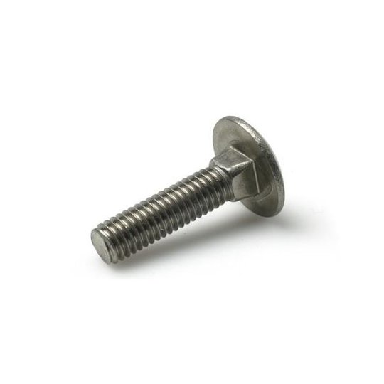 Schäfer & Peters 0603410100 Vagnsbult M10 MVBF A4, DIN 603, 50-pack M10 x 100 mm