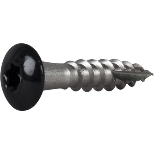 ESSVE 490203 Rännkroksskruv 4,8 mm Ø, svart, TX20 25 mm, 20-pack