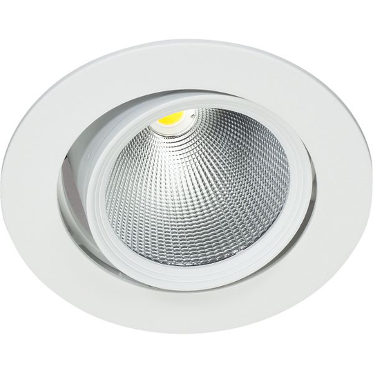 Easyform Pride Downlight ställbar, 360°/ 20° 12W