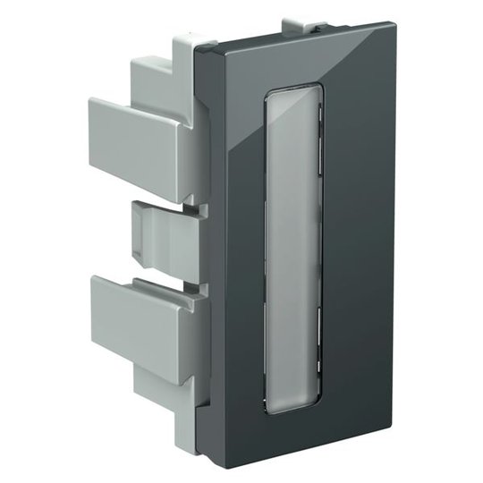 Schneider Electric INS60002 Märkfönster vit, med märkskylt Grå
